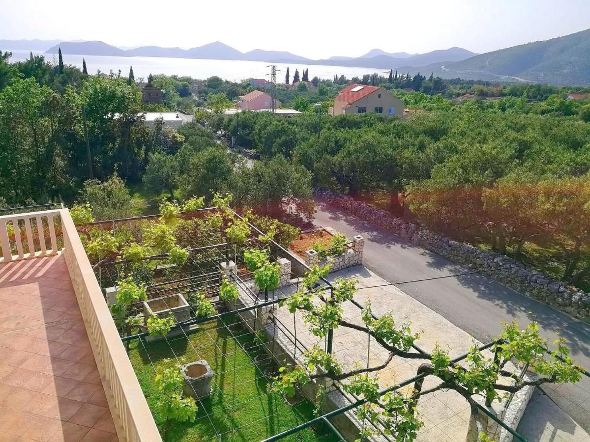 Apartments Kola Banići Eksteriør billede
